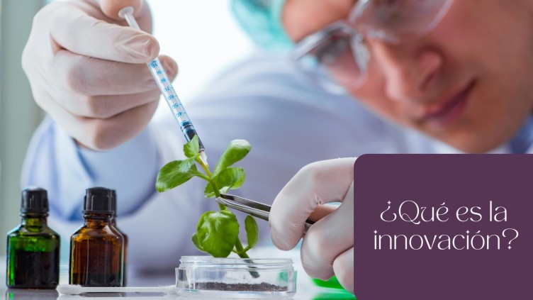 ¿Cómo alcanzar la innovación y transformación empresarial?